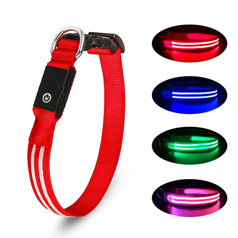 Dog LED Light Collar