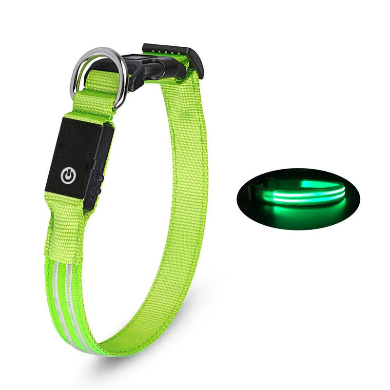 Dog LED Light Collar